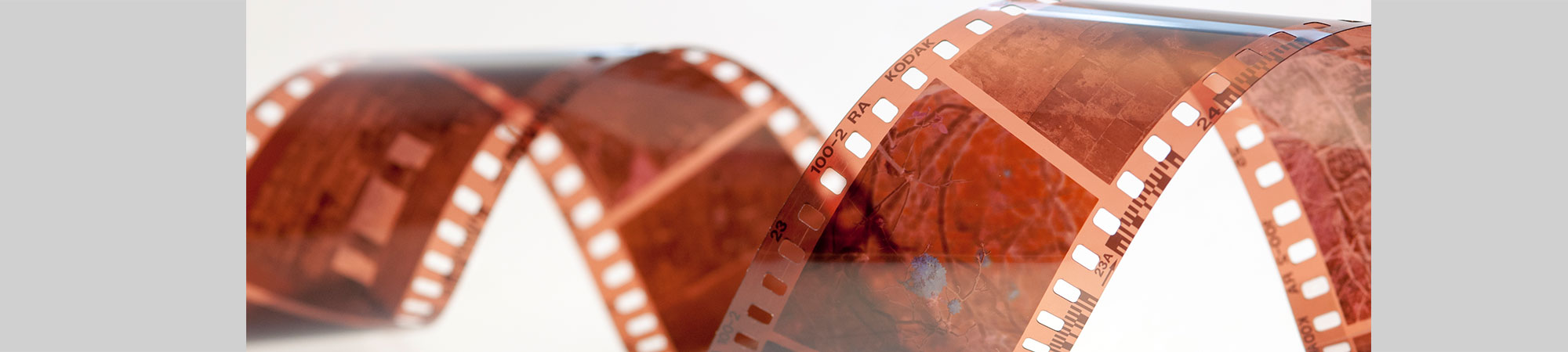 motal-digital-media Filmscan-Service Wien 2. Wir scannen und digitalisieren Ihren analogen Fotonegativ und Dia Bestand preisgünstig