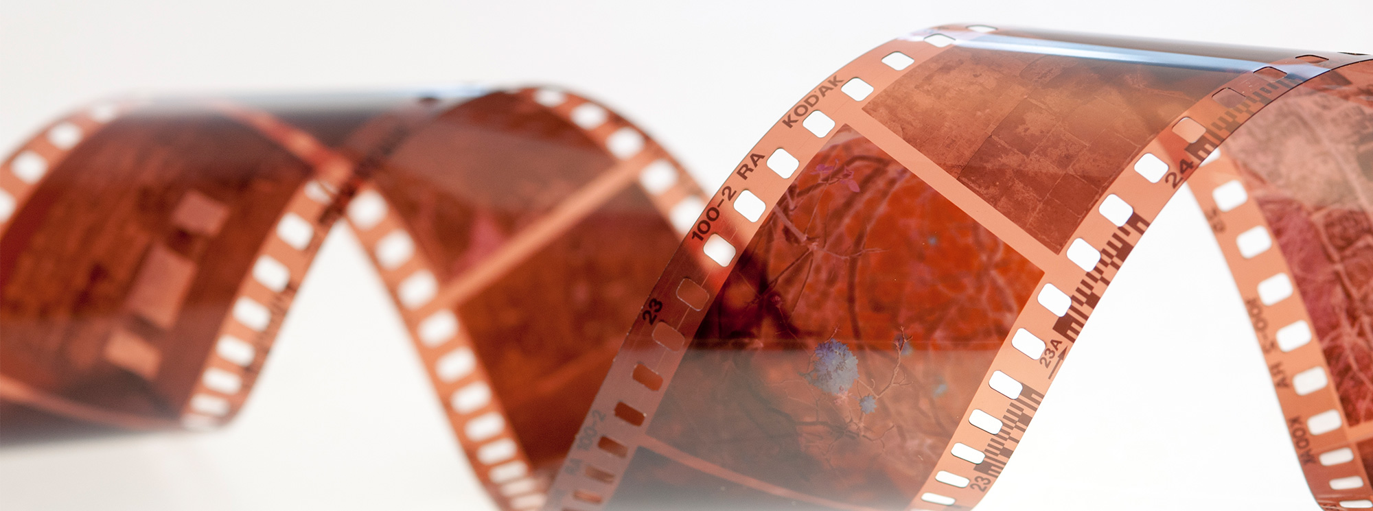 motal-digital-media Filmscan-Service Wien 2. Wir scannen und digitalisieren Ihren analogen Fotonegativ und Dia Bestand preisgünstig